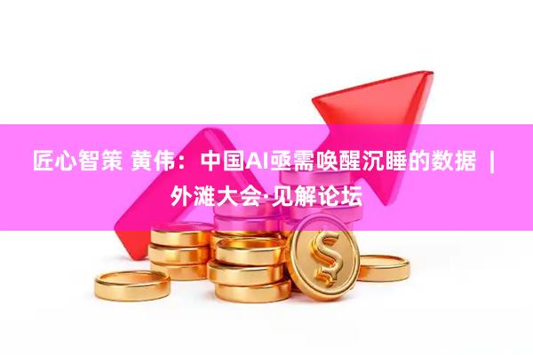 匠心智策 黄伟：中国AI亟需唤醒沉睡的数据  | 外滩大会·见解论坛