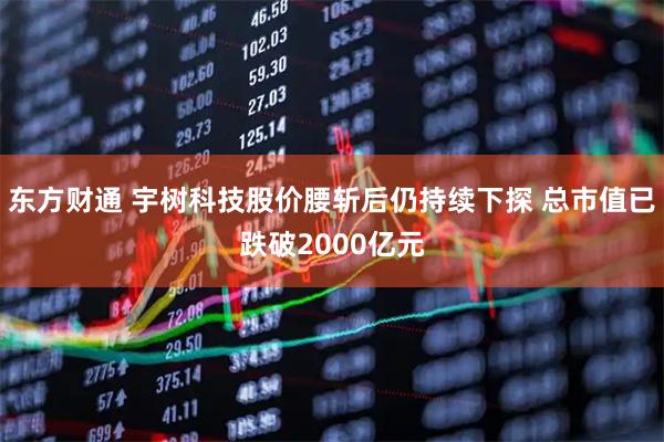 东方财通 宇树科技股价腰斩后仍持续下探 总市值已跌破2000亿元