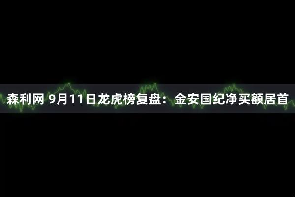 森利网 9月11日龙虎榜复盘：金安国纪净买额居首