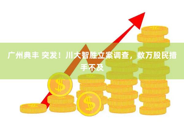 广州典丰 突发！川大智胜立案调查，数万股民措手不及
