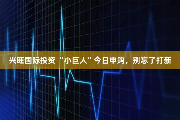 兴旺国际投资 “小巨人”今日申购，别忘了打新